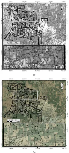 Figure 5. (a) Cadastral Parcel Derived from CARTOSAT-2 (b) Cadastral Parcels derived from GEO-EYE  