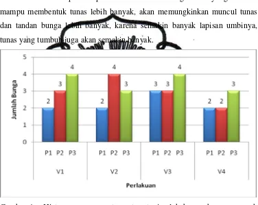 Gambar 4. Histogram pengamatan rata-rata jumlah bunga bawang merah pada berbagai kombinasi perlakuan 