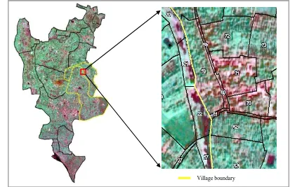 Figure 12: Village boundary (derived from cadastral map) overlaid on HRSI 