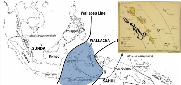 Gambar 1 Wakatobi dan Wallacea Line’s dalam peta Indonesia. 