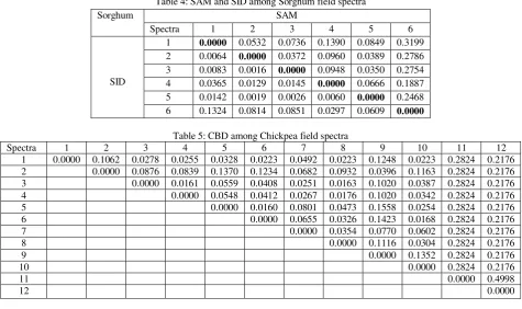 Table 4: SAM and SID among Sorghum field spectra 