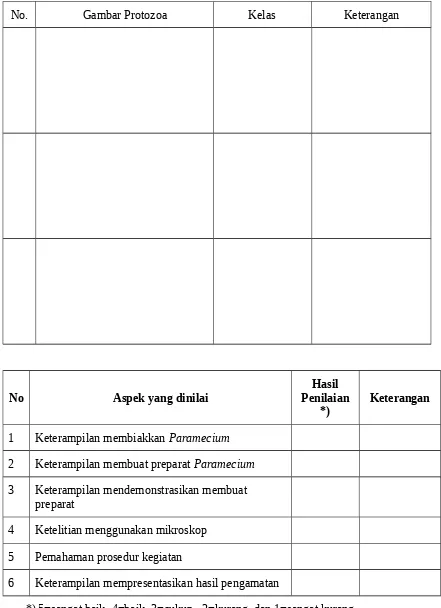 Gambar Protozoa