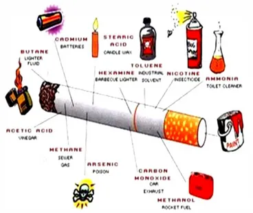 Gambar 1. Bagian-bagian Rokok (Yuliana, 2007)  a)  Nikotin  