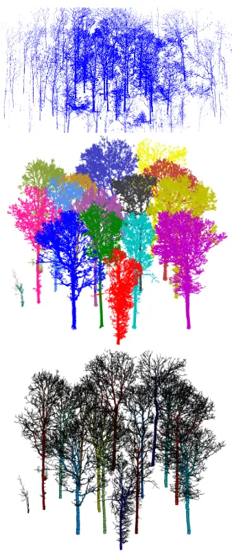 Figure 1. Filtered (top) and tree-segmented (middle) point cloudand the reconstructed QSMs (bottom) of an English oak plot.