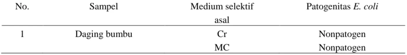 Tabel 4. Hasil tes antisera E. coli sampel daging sapi 
