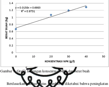 Gambar 9. Grafik hubungan konsentrasi NPK dan berat buah 
