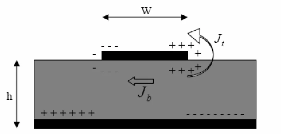 Gambar 2.3 Distribusi Muatan Dan Densitas Arus Yang Terbentuk Pada  Patch Microstrip 