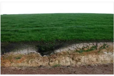 Figure 1  — An exposed section of soil in farmland. 