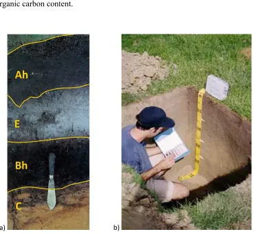 Figure 2 — Soil profiles and sampling. 