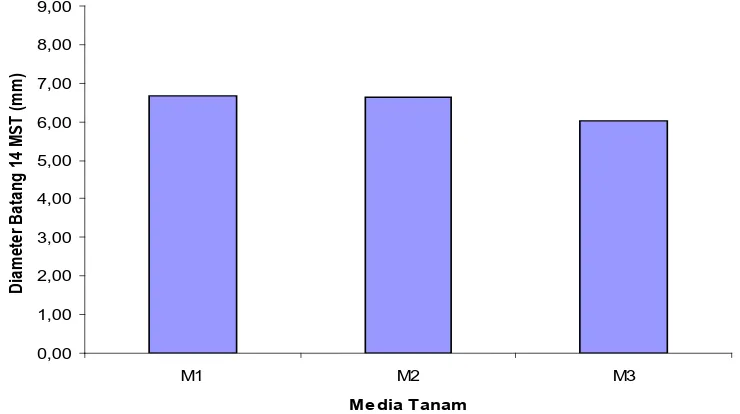 Tabel 3. Rataan Diameter Batang (mm) Akibat Perlakuan Media Tanam dan Pupuk Majemuk NPKMg pada umur 12-14 MST