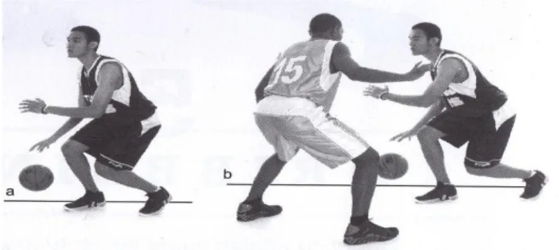 Gambar 2.2 : a) posisi tubuh ketika melakukan dribel, b) posisi tubuh ketika  melakukan dribel sambil melewati lawan