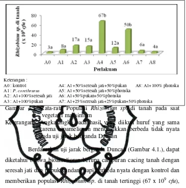 Gambar 4.1. Rata-rata Populasi Rhizobium sp. di tanah pada saat 