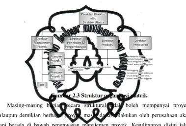 Gambar 2.3 Struktur organisasi matrik 