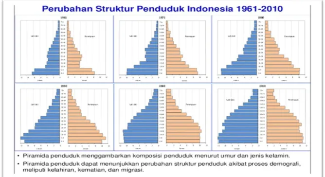 Gambar 1: Piramida Struktur Penduduk Tahun 1961-2010