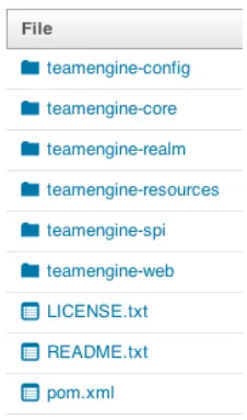Figure 5 – TEAM Engine Code structure at Sourceforge 