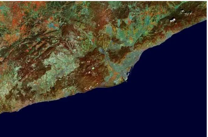 Figure 4 — WMS orthophotographic view of the region 