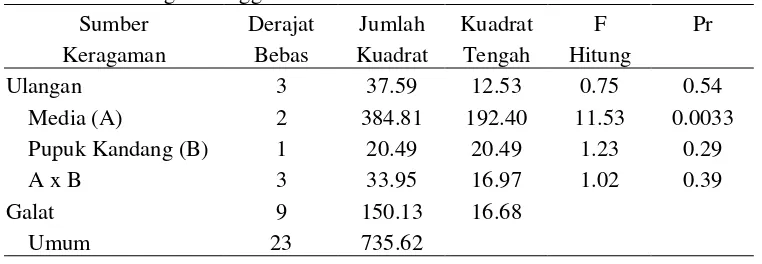 Tabel 7. Sidik Ragam Tinggi Tanaman 7 MST 