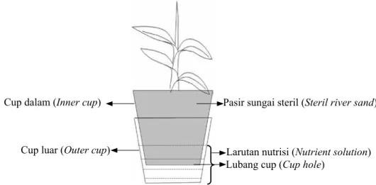 Gambar 1.   Teknik doubel cup yang digunakan pada penelitian (Double cup technique used in 