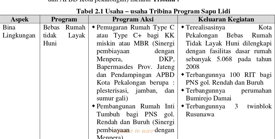 Tabel 2.1 Usaha – usaha Tribina Program Sapu Lidi 