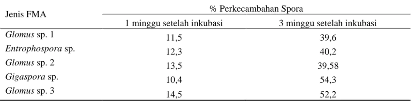 Tabel 1.  Persentase perkecambahan spora dari inokulum 5 jenis FMA yang digunakan dalam  penelitian