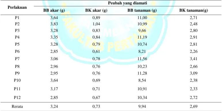 Tabel 6.   Hasil   pengamatan   berat   basah  (bb)  dan  berat  kering  (bk)  akar serta berat basah (bb) dan berat  kering (bk) tanaman (g)