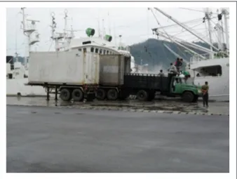 Gambar 1. Salah Satu Kegiatan di Pelabuhan Perikanan  Samudra Bitung Berupa Bongkat Muat  Tuna.