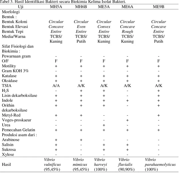 Tabel  4.  Hasil  pengukuran  (mm)  Zona  Hambat  pada  Uji  Sensitivitas  terhadap  Antibiotik  Eritromisin,  Enrofloksasin, dan Oksitetrasiklin
