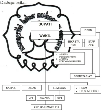 Gambar 4.2 Struktur Organisasi Pemerintah Daerah Kabupaten 