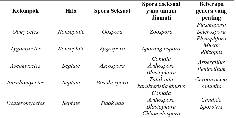 Tabel  2.1. Pengelompokan Jamur dan Ciri-ciri Umum 