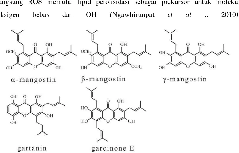 Gambar 2.8. Struktur Kimia Xanthone (Shan et al,.2011) 