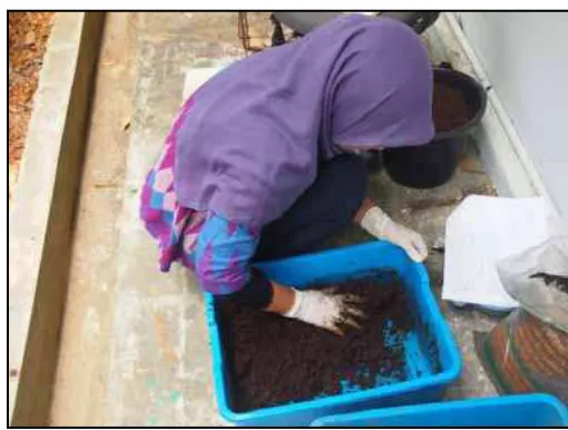 Gambar 2. Pengukuran Diameter Seedball 