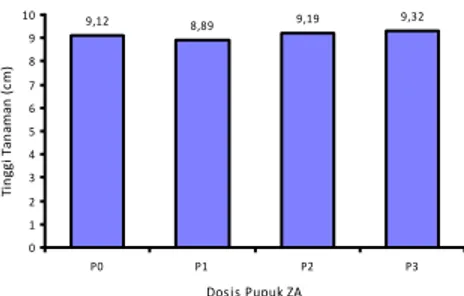Gambar  1  menunjukkan  bahwa  pemberian  pupuk  Bioboost  dosis  4  ml/  l  air  (B2)  cenderung  memberikan  rata-rata  tinggi  tanaman  yang  tertinggi  jika  dibandingkan  dosis  lainnya,  sedangkan  Gambar  2  menunjukkan bahwa pemberian pupuk ZA dosi