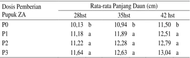 Tabel 6. Panjang daun umur (35 dan 42)hst yang  dipengaruhi pemberian pupuk Bioboost pada  berbagai konsentrasi 