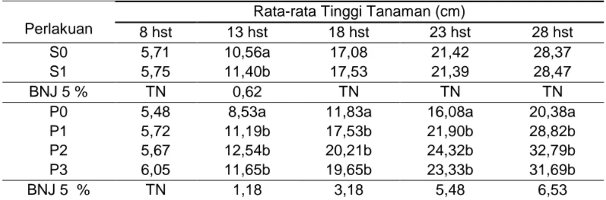 Tabel  1.  Rata-rata  Tinggi  Tanaman  pada  Perlakuan  Pengaplikasian  SIPLO  dan  Pemberian   Pupuk Majemuk NPK