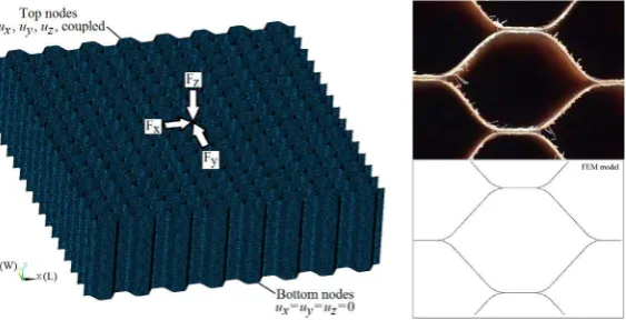 Fig. 13. Nomex honeycomb core FEA model (compression model dimensions pictured).