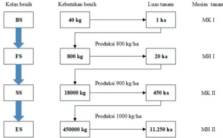 Gambar 1. Alur produksi benih kedelai (Berdasarkan surat edaran Direktorat Jenderal Tanaman Pangan No