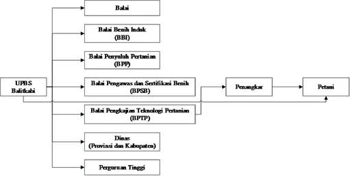 Tabel 2. Analisis SWOT produksi benih sumber di UPBS Balitkabi. Pengaruh Internal