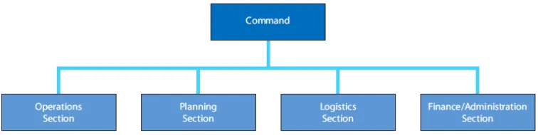 Figure 6  Organizational structure of an IMS  