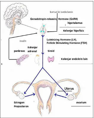 Gambar 2.1 Aksis hipotalamus-hipofisis-ovarium (Nong, 2010) 