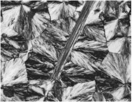 Figure 5Optical micrographs with crossed polars ofbamboo ﬁber in PP matrix (1100).