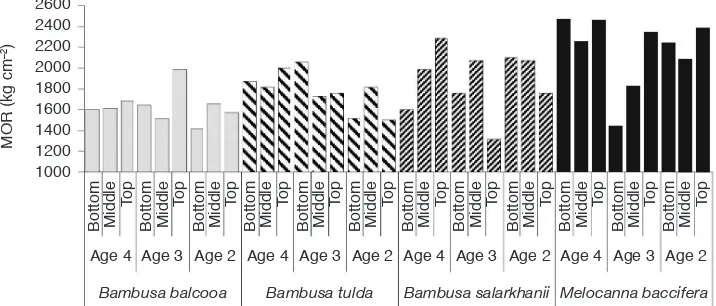 Figure 6      Modulus of elasticity (MOE) of four bamboo species at different height positions and ages 
