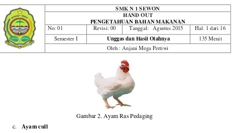Gambar 2. Ayam Ras Pedaging 