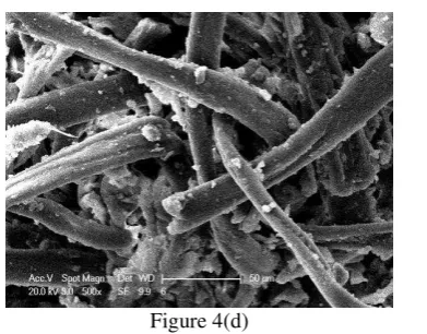 Figure 4(d) 