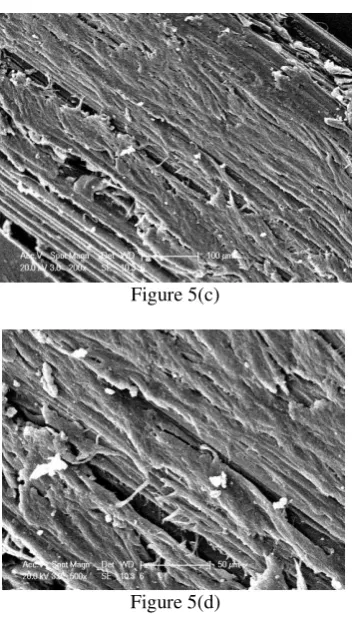 Figure 5(c) 