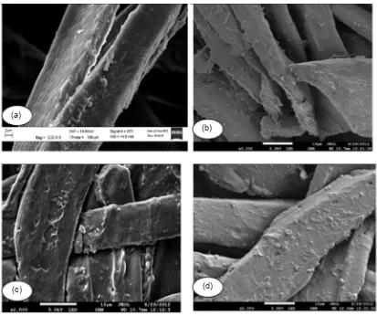 Figure 7 (a) Laccase-treated ﬁbre after 2 hours treatment; (b), (c) and(d) SEM photos of A2, C2 and N2 