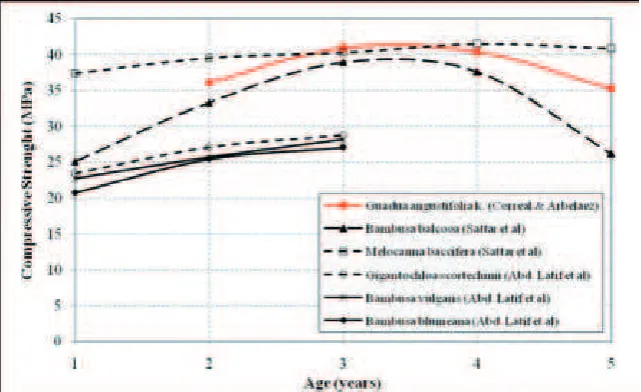 Figure 5. Variation of compressive strength for different bamboo species with age
