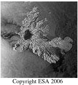 Figure 7-6: Example GetMap requests/responses based on specifying a single sample dimension dataset with a SAR intensity map returned as a greyscale image