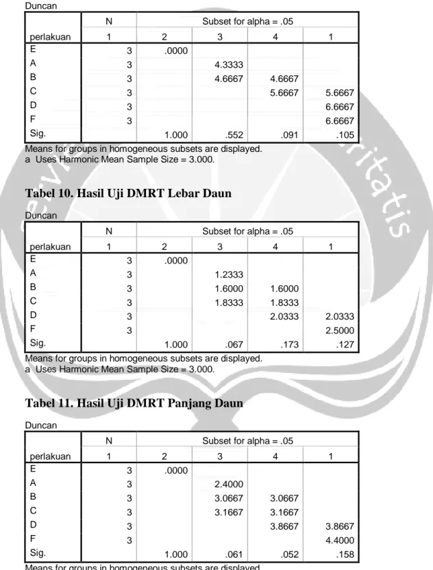 Tabel 9. Hasil Uji DMRT Jumlah Daun  Duncan  