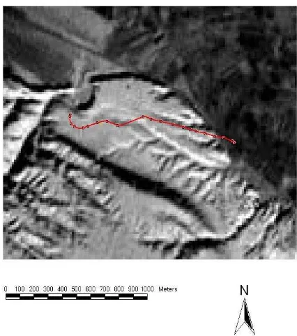 Figure 10. An ancient road alignment detected on a CORONA 