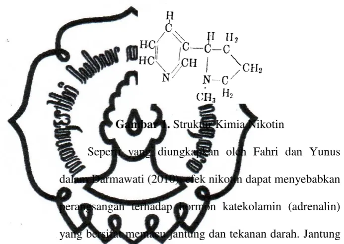 Gambar 1. Struktur Kimia Nikotin  